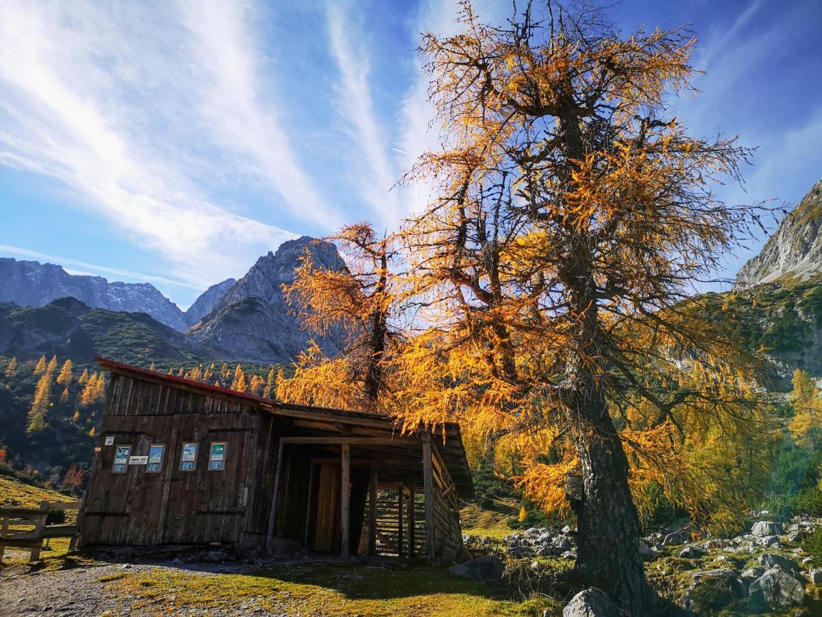 Haus Sabine Διαμέρισμα Leutasch Εξωτερικό φωτογραφία